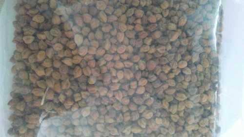 Desi Chickpeas