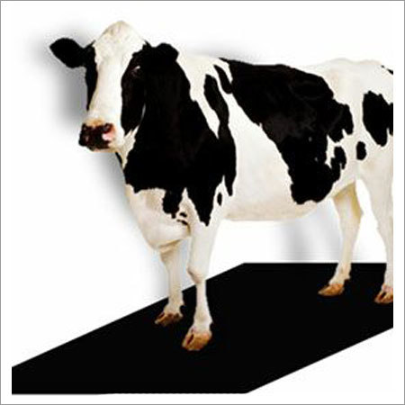 Cow Rubber Mat