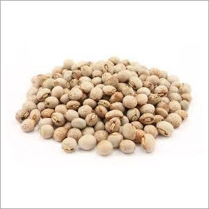 Pigeon Pea - Organic Dried Legumes, High in Protein and Fiber, Versatile Cooking Ingredient