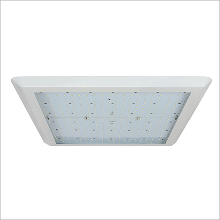 LED Canopy Lights