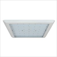 Led Canopy Lights