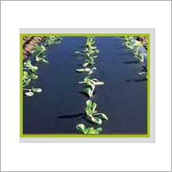 Mulching Film Mulching Film