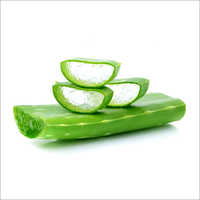 Aloe Vera Grade: For Pharmaceuticals And Cosmetic
