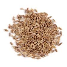 Dill Seeds