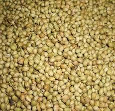 Coriander Seed