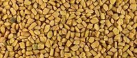 Fenugreek seed