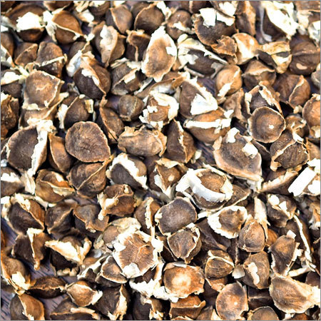 Organic Moringa Seed
