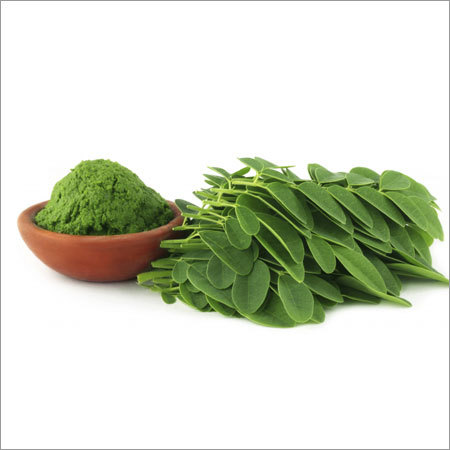 Non Organic Moringa Leaves