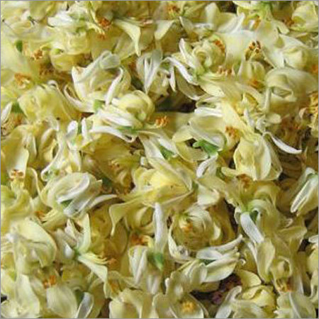 Moringa Dry Flower