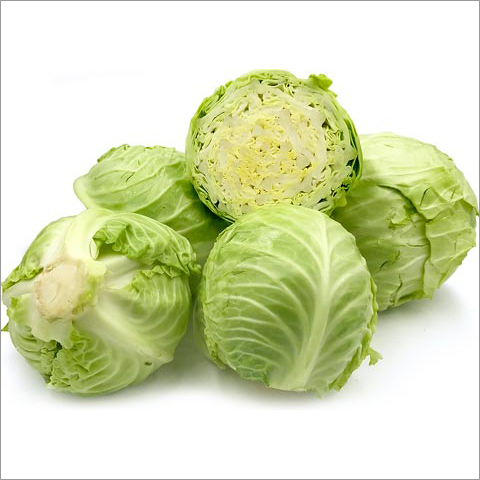 Cabbage