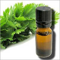 Celery Seed Oil