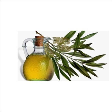 Eucalyptus Oil