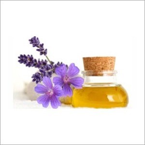 Geranium Oil