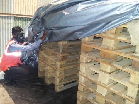 Coakroach Fumigation Services By X-CIDE FUMIGATION SERVICES