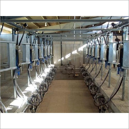 Herringbone Milking Parlor