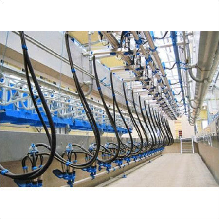 Swing Over Milking Parlor