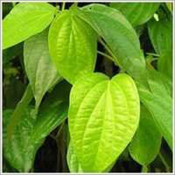 Agricultural Products