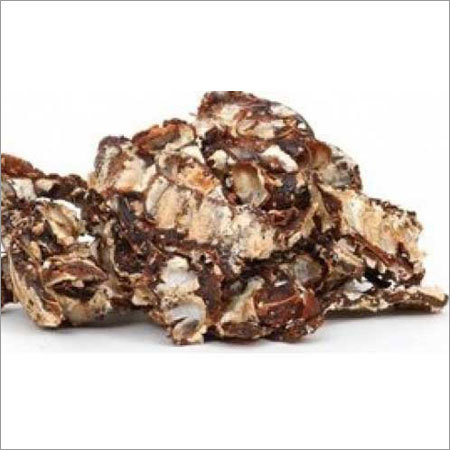 Tamarind