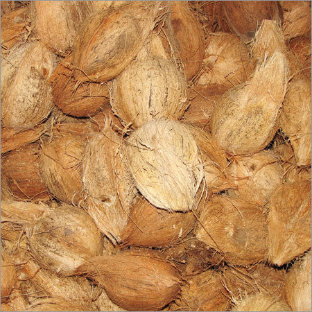 Raw Coconut