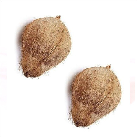 Husked Coconut India
