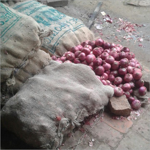 Fresh Red Onion