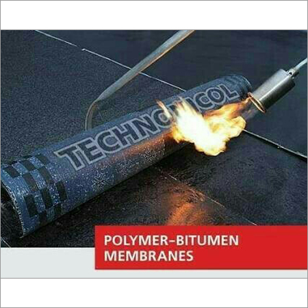 APP Membrane