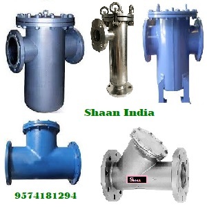 Strainer Valve Application: Water
