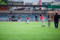 Cricket Flooring Cover - Polypropylene, 20-50mm Thickness, Square Shape | Wear-resistant, Heat Insulation, Non-slip Surface