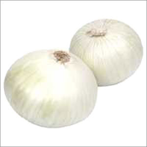 Fresh White Onion