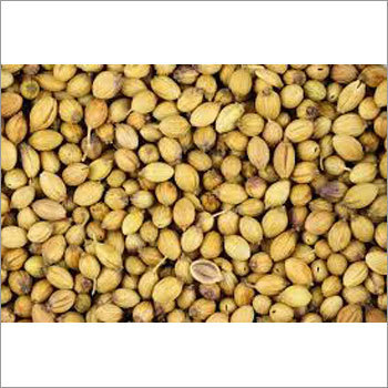 Whole Coriander