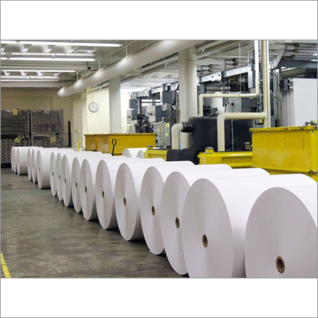 Jumbo Paper Rolls