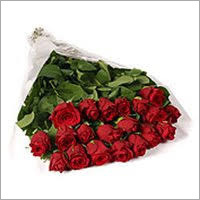 Red Rose