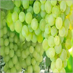 Green Grapes