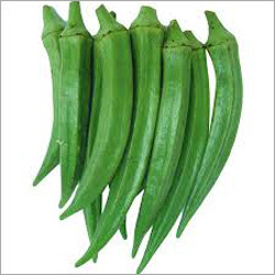 Lady Finger