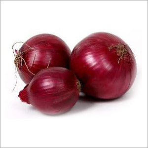 Fresh Onion