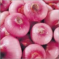 Pink Onion