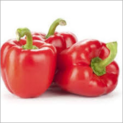 Red Capsicum