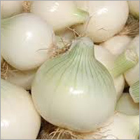 White Onion