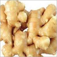 Fresh Ginger