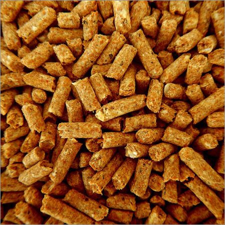 Dairy Cattle Feed