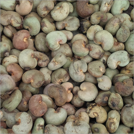 Raw Cashew