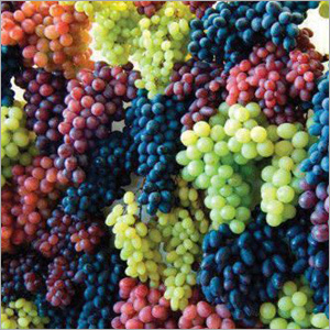 Fresh Grapes