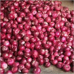 Red Onion