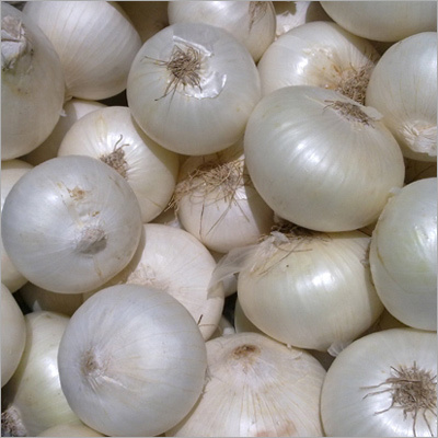 Fresh White Onion