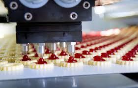 Food  Processing Consultant