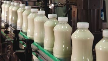 Milk Processing Service