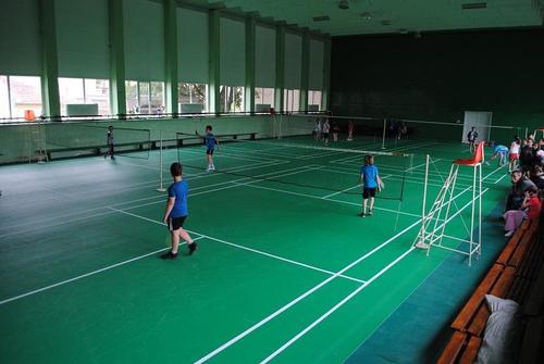 Easy Installation Sports Ground Vinyl Flooring