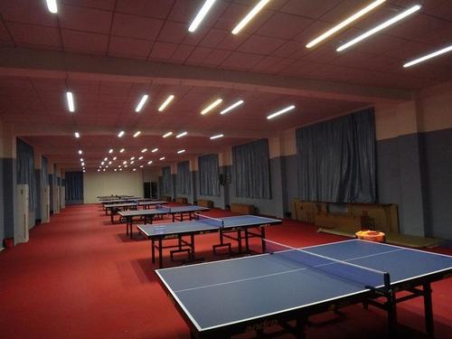 Easy Installation Sports Vinyl Flooring