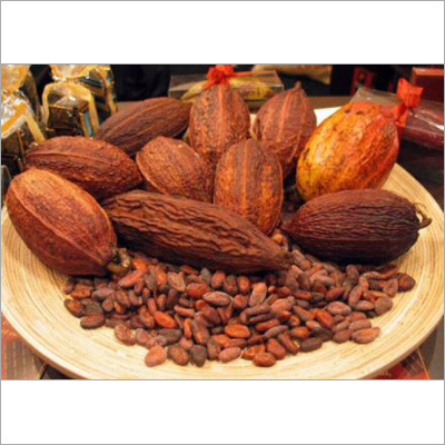 Cocoa West Africa Cocoa West Africa
