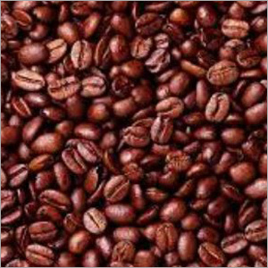 Robusta Coffee Bean Robusta Coffee Bean